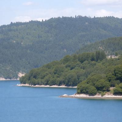 The primary subject of the image is a beautiful landscape featuring a large body of water, a lush green hillside, and a forest. The setting is a serene and picturesque environment, with the water and the surrounding trees creating a sense of tranquility. The visual style of the image is a photo, capturing the natural beauty of the landscape. The colors and mood of the image are predominantly green, with the water, trees, and hillside all contributing to a sense of freshness and vitality.